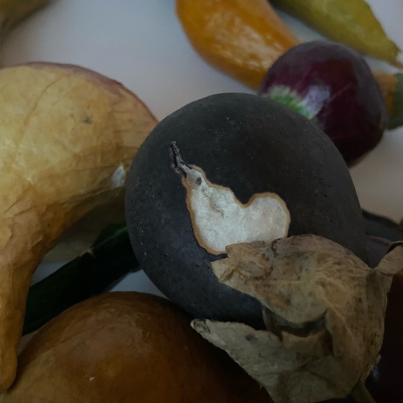 31 pieces Fake Prop Food Display Faux Fruit And Vegetables Mushroom Avocado - Picture 15 of 15